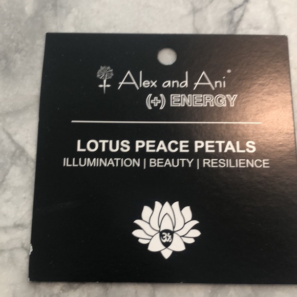 Alex and ani bracelet - Picture 2 of 4